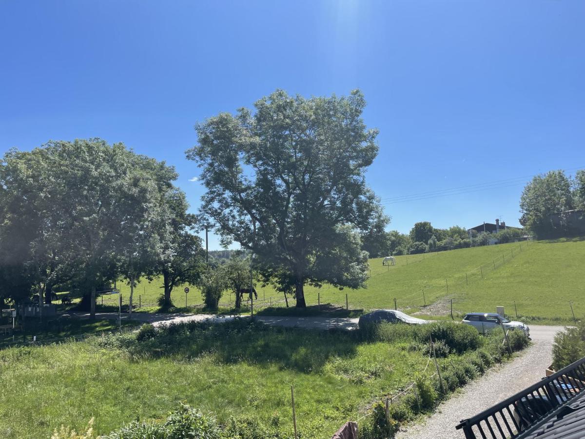 Casa Verde: Kueche, Tv, Nespresso, Im Gruenen Starnberg Exteriör bild